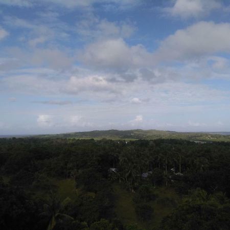Overview Hostel Loon Bagian luar foto